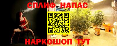 крисы Коммунар