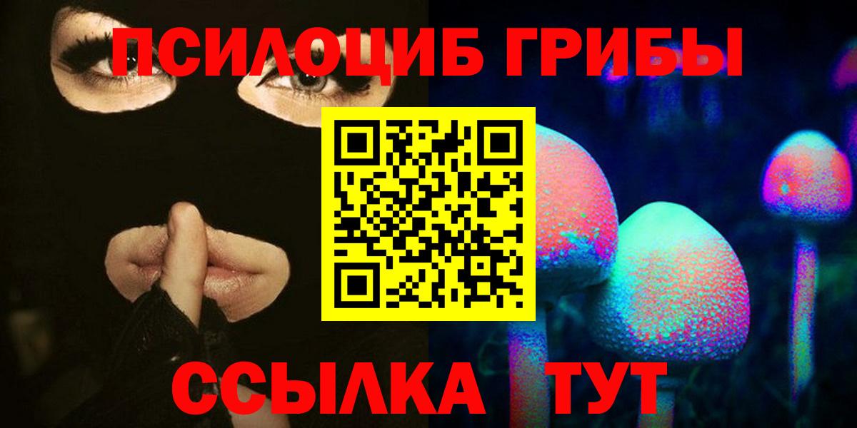 Псилоцибиновые грибы мухоморы  Вход с VPN  Чистополь  Псилоцибиновые грибы Psilocybe 